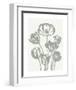 Tulips (Ivory & Sage)-Botanical Series-Framed Art Print