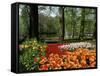 Tulips, Keukenhof Gardens, Lisse, Holland-I Vanderharst-Framed Stretched Canvas