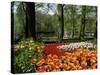 Tulips, Keukenhof Gardens, Lisse, Holland-I Vanderharst-Stretched Canvas