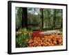 Tulips, Keukenhof Gardens, Lisse, Holland-I Vanderharst-Framed Photographic Print