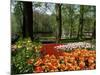 Tulips, Keukenhof Gardens, Lisse, Holland-I Vanderharst-Mounted Photographic Print