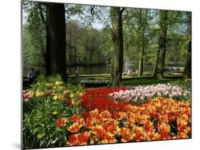 Tulips, Keukenhof Gardens, Lisse, Holland-I Vanderharst-Mounted Photographic Print