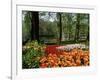 Tulips, Keukenhof Gardens, Lisse, Holland-I Vanderharst-Framed Photographic Print