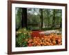 Tulips, Keukenhof Gardens, Lisse, Holland-I Vanderharst-Framed Photographic Print