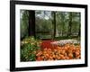 Tulips, Keukenhof Gardens, Lisse, Holland-I Vanderharst-Framed Photographic Print