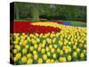 Tulips, Keukenhof Gardens, Netherlands-Gavin Hellier-Stretched Canvas