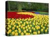 Tulips, Keukenhof Gardens, Netherlands-Gavin Hellier-Stretched Canvas