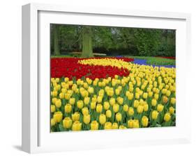 Tulips, Keukenhof Gardens, Netherlands-Gavin Hellier-Framed Photographic Print