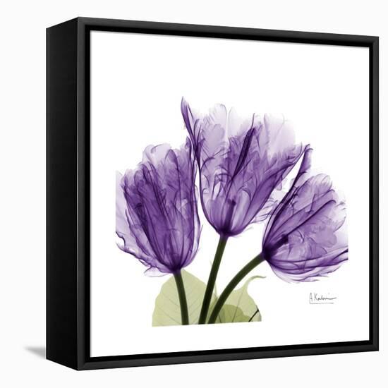 Tulips L63-Albert Koetsier-Framed Stretched Canvas