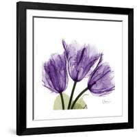 Tulips L63-Albert Koetsier-Framed Premium Giclee Print