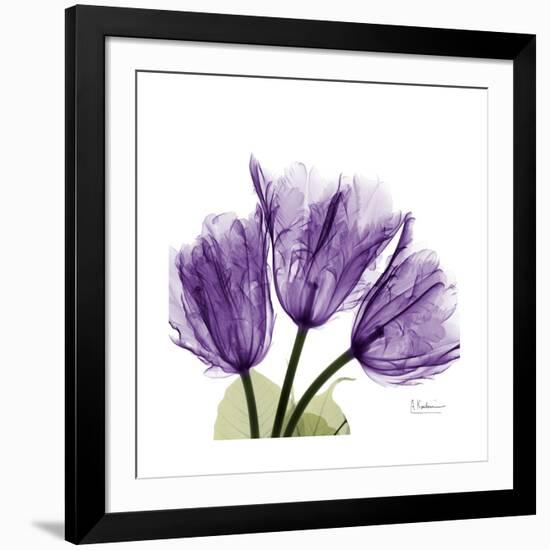 Tulips L63-Albert Koetsier-Framed Premium Giclee Print