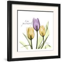 Tulips Live Passionately-Albert Koetsier-Framed Art Print
