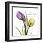 Tulips Love Unconditionally-Albert Koetsier-Framed Art Print