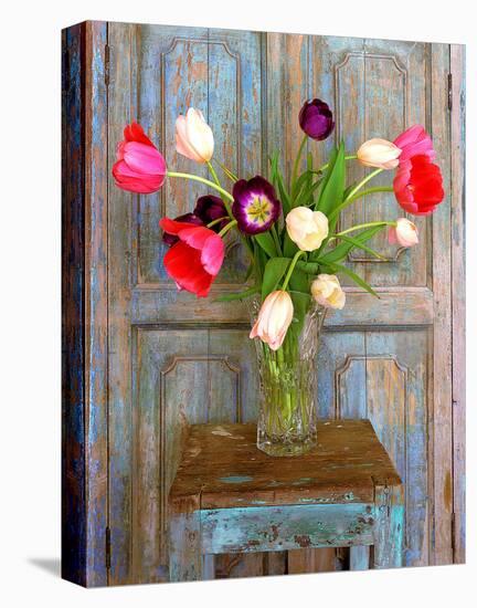 Tulips, Mexico-Alan Klug-Stretched Canvas