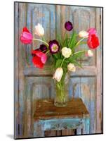 Tulips, Mexico-Alan Klug-Mounted Photographic Print