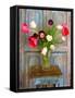 Tulips, Mexico-Alan Klug-Framed Stretched Canvas