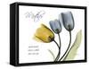 Tulips Mother-Albert Koetsier-Framed Stretched Canvas