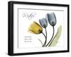 Tulips Mother-Albert Koetsier-Framed Art Print