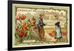 Tulips, Netherlands-null-Framed Giclee Print