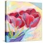 Tulips No. 2-Ann Thompson Nemcosky-Stretched Canvas