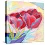 Tulips No. 2-Ann Thompson Nemcosky-Stretched Canvas