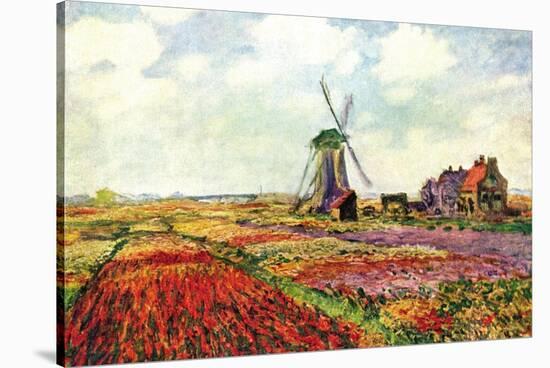 Tulips of Holland-Claude Monet-Stretched Canvas