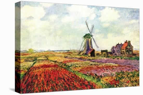 Tulips of Holland-Claude Monet-Stretched Canvas