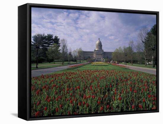 Tulips of State Capital Building, Frankfurt, Kentucky, USA-Adam Jones-Framed Stretched Canvas