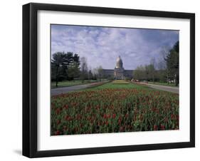 Tulips of State Capital Building, Frankfurt, Kentucky, USA-Adam Jones-Framed Premium Photographic Print