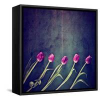 Tulips on a Wooden Board-graphicphoto-Framed Stretched Canvas