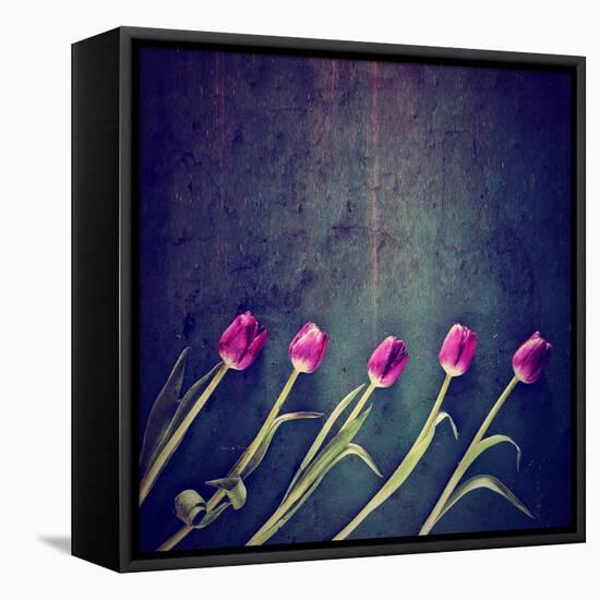 Tulips on a Wooden Board-graphicphoto-Framed Stretched Canvas