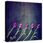 Tulips on a Wooden Board-graphicphoto-Stretched Canvas