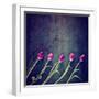 Tulips on a Wooden Board-graphicphoto-Framed Art Print