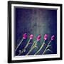 Tulips on a Wooden Board-graphicphoto-Framed Art Print