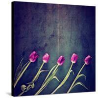 Tulips on a Wooden Board-graphicphoto-Stretched Canvas