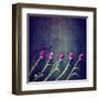 Tulips on a Wooden Board-graphicphoto-Framed Art Print