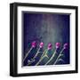 Tulips on a Wooden Board-graphicphoto-Framed Art Print