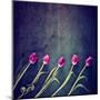 Tulips on a Wooden Board-graphicphoto-Mounted Art Print