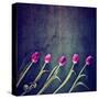 Tulips on a Wooden Board-graphicphoto-Stretched Canvas