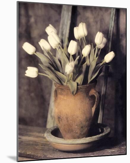 Tulips on Bench-Laurie Eastwood-Mounted Art Print