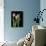 Tulips on Black Background-Anna Miller-Photographic Print displayed on a wall