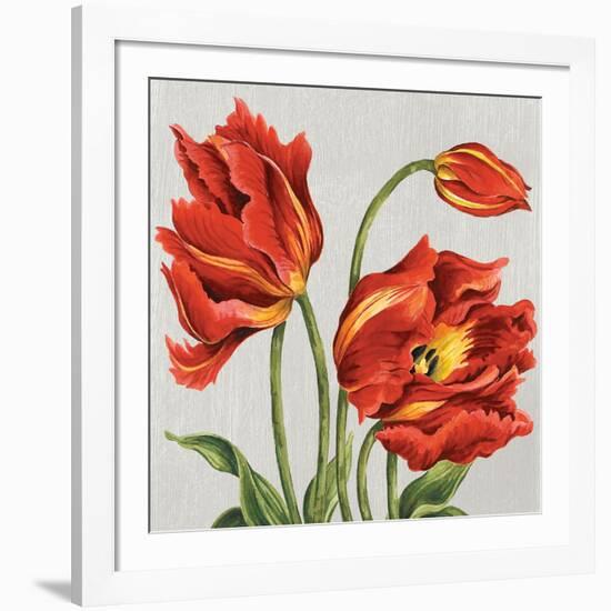 Tulips on Silk-Judy Shelby-Framed Art Print