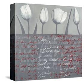 Tulips Parade in Grey-Anna Flores-Stretched Canvas
