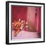 Tulips Pink-Mark Van Crombrugge-Framed Art Print