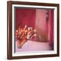 Tulips Pink-Mark Van Crombrugge-Framed Art Print