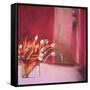 Tulips Pink-Mark Van Crombrugge-Framed Stretched Canvas