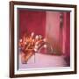 Tulips Pink-Mark Van Crombrugge-Framed Premium Giclee Print