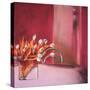 Tulips Pink-Mark Van Crombrugge-Stretched Canvas