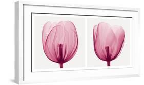 Tulips [Positive]-Steven N^ Meyers-Framed Art Print