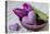 Tulips, Purple, Bowl, Hearts-Andrea Haase-Stretched Canvas